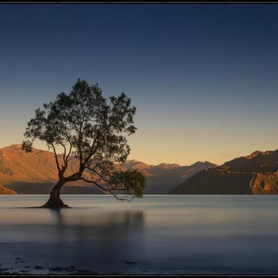 WILLOWING IN WANAKA