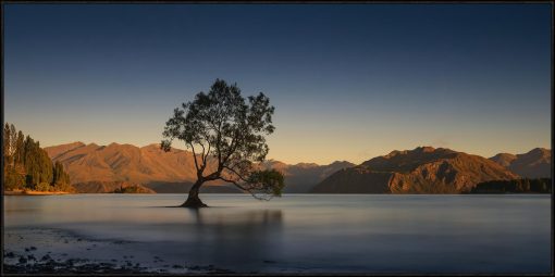 WILLOWING IN WANAKA