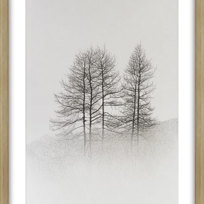 SOLITUDE I